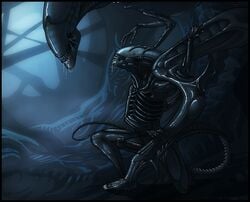 alien alien_(franchise) drooling male male_xenomorph penis saliva viral_divinity xenolugia150 xenomorph xenomorph_queen