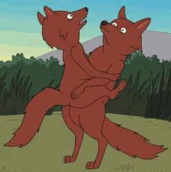 animated brickleberry brown canine coyote fox ginger no_breasts sex