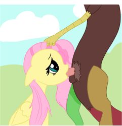 animated anthro balls discord_(mlp) duo equid equine female feral feral_penetrated fluttershy_(mlp) friendship_is_magic genitals hair hasbro horse male male/female mammal minette miniraaaa my_little_pony mythological_creature mythological_equine mythology nude oral oral_penetration pegasus penetration penis pony pulling_hair sex touching_hair wings