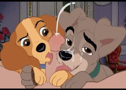 2d absurd_res bedroom_eyes bisexual bodily_fluids canid canine collar cum cum_on_face disney ejaculation female female_on_human feral full_color genital_fluids genitals group hi_res human human_on_feral interspecies lady_(lady_and_the_tramp) lady_and_the_tramp licking looking_at_viewer male male/female male/male male_on_feral male_on_human mammal narrowed_eyes oral penile penis penis_lick quadruped seductive sex tongue tramp_(lady_and_the_tramp) trio wugi zoophilia