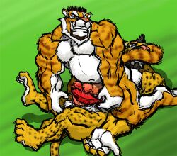 2017 4_toes 5_fingers anthro balls beard belly biped black_hair cheetah closed_eyes dominant dominant_anthro dominant_male duo eyebrows facial_hair feet felid feline fingers fur genitals green_background hair holding_feather holding_object humanoid_genitalia humanoid_penis kctk looking_at_another looking_back looking_back_at_another loose_feather male male/male mammal markings muscular muscular_anthro muscular_male navel nude_anthro nude_male orange_body orange_fur pantherine penis red_loose_feather restrained restrained_arms simple_background sitting_on_another smile spots spotted_body spotted_fur spotted_markings spotted_tail striped_body striped_fur striped_markings striped_tail stripes submissive submissive_anthro submissive_male tail tail_markings tail_tickle teeth tickle_fetish tickle_torture tickling tickling_genitalia tickling_nose tickling_penis tiger toes white_belly white_body white_fur white_inner_ear white_palms white_soles yellow_body yellow_eyes yellow_fur