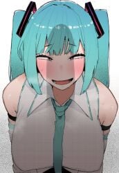 hatsune miku from vocaloid by ohasi