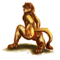 anthro balls dlost feline fur furry lion lioness looking_at_viewer male pose