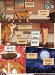 animal_genitalia animal_vulva anus australian_shepherd background_character barking beef bow_ribbon canid canine canine_genitalia canine_vulva canis city city_background cityscape comic denver_(colorado) domestic_dog english_text female feral fluffy food genitals hallway herding_dog hi_res human light mammal meat mey_(parooty) moon moonlight narration neck_tuft nub_tail painting_(object) parooty pastoral_dog sheepdog side_view smile steak text tuft walking