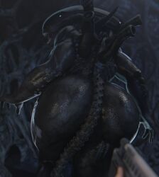 female xenomorph from alien (franchise) by vensaku