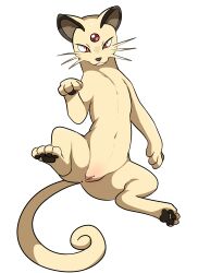 persian from nintendo by yttriumi2f