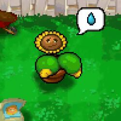 sunflower (pvz) from plants vs zombies by joestarjorik
