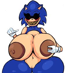 fandom.exe from sega by scarmentor