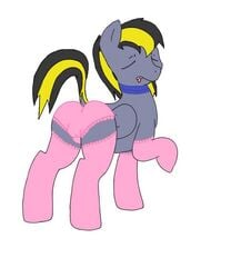 ass balls black_hair closed_eyes clothing collar equine grey_fur horse my_little_pony original_character panties pegasus pet pink plain_background pony raised_tail socks solo starchaser tongue underwear white_background wings yellow_hair