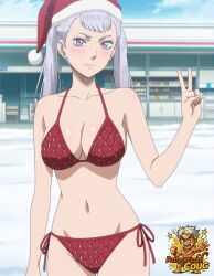 noelle silva from black clover by coug