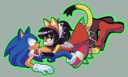 honey the cat from sega