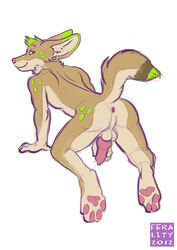 1boy 2012 all_fours anthro anus balls canine canine_penis ear_piercing fennec ferality fox fur furry knot looking_back male male_only nude penis piercing presenting raised_tail solo