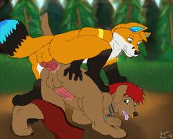 anal canine forest fox furry gay jupiterfox male no_humans sex tree