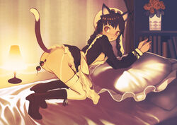 :o anal anal_beads animal_ears ass bed black_hair blush bondage boots braid cat_ears cat_tail female flower garter_straps hands_tied hat lamp long_hair maid nipples no_bra no_panties original pillow red_eyes red_rose rose sentou sepia small_breasts solo tail thighhighs twin_braids vase white_legwear