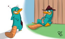 balls erection fur furry hat heart looking_at_viewer male male_only mammal monotreme penis perry_the_platypus phineas_and_ferb platypus rotten_robbie solo