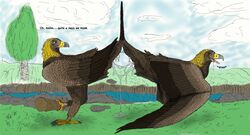 after_sex avian bird cloaca cum eagle feral furry gay golden_eagle male no_humans sawyer_(ferobird) uppmap123