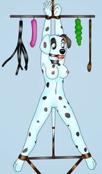 anthro ball_gag blue_eyes bondage breasts canine dalmatian dildo dotsy_(character) female folwilliar gag looking_right mammal nipples pussy saliva sex_toy whip