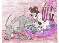 2boys canine disney dodger feral furry gay great_dane holidaypup male male_only mutt no_humans oliver_and_company oral penis precum sketch terrier