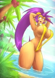 shantae (character) from shantae by mokkoyu