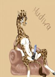 2010 anthro balls blue_penis erection fur furry giraffe looking_at_viewer male male_only mudiwa_giraffe navel nipples no_humans nude penis presenting shikoku-una sitting smile solo spread_legs spreading tongue