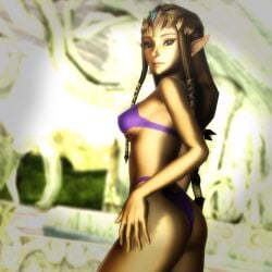 Zelda (Twilight Princess) Rule 34 Image