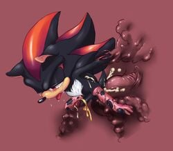 balls black bound cum cum_in_ass cum_inside gay hedgehog male orba penis red_eyes sega sex shadow_the_hedgehog sonic_(series) tear tongue tongue_out what