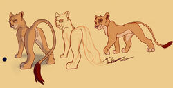 anus bangs disney eyes feline female female_feral feral hindquarters lion lioness paws presenting pussy raised_tail the_lion_king tuke vitani