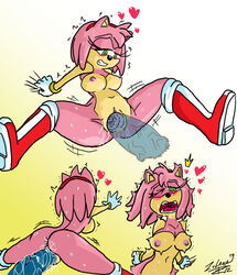 amy_rose furry sega sex sonic_(series) zulana