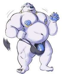 1boy 2018 anthro balls bear belly biceps bulge claws clothed clothing digital_media_(artwork) fur half-erect hi_res huge_muscles hyper hyper_nipples jewelry male male_only mammal musclegut muscular necklace nipples open_mouth pecs penis piercing polar_bear shaded sharp_teeth skimpy solo standing stocky surprise tcw_(artist) teeth topless underwear