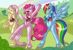 3girls anthro breasts cutie_mark digestion female fluttershy_(mlp) friendship_is_magic internal multiple_girls my_little_pony nude pinkie_pie_(mlp) rainbow_dash_(mlp) rena_ayama_(artist) stomach swallowed_whole vore x-ray