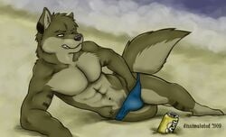 beach canine dissimulated furry male male_only muscles no_humans seaside solo speedo underwear