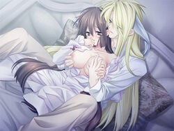 blonde_hair breast_grab breasts brown_eyes brown_hair couple eins_(ijiwaru_my_master) green_eyes horns ijiwaru_my_master long_hair lowres sakurajousui_kurumi