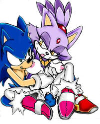 anthro artist_request blaze_the_cat blue_fur exposed_torso feline female footwear fur furry furry_only handwear hedgehog male mammal sega sex sonic_(series) sonic_rush sonic_the_hedgehog sonic_the_hedgehog_(series) straight straight_hair