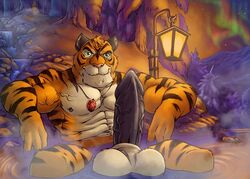 1boy anthro aurora_borealis balls erection feline fur furry furryrevolution looking_at_viewer male male_only muscles outside penis sauna solo tiger