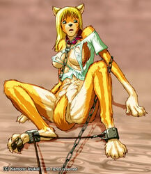 anthro blonde_hair breasts canine chained chains clothing collar female fur furry hair implied_transformation kemono_inukai long_hair multi_breast nude rope sitting solo spread_legs spreading tail_between_legs tear torn_clothing transformation