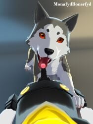 3:4 absurd_res albino anthro anthro_on_feral atlus bestiality canid canine canis domestic_dog duo felid feline fellatio feral hi_res koromaru male male/male mammal megami_tensei monafydbonerfyd morgana_(persona) oral penile persona_(series) persona_3 persona_5 sega sex shiba_inu smile smiling_at_viewer spitz tongue tongue_out