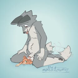 1:1 2026 anthro balls black_nose black_pawpads blep blue_background brown_eyes canid canine canis crow_(mollietown) digital_drawing_(artwork) digital_media_(artwork) dipstick_tail duo english_description foreskin fox fur genitals green_eyes grey_body grey_fur grey_tail_tip hi_res humanoid_genitalia humanoid_hands humanoid_penis inner_ear_fluff kneeling male male/male mammal markings micro mollietown orange_body orange_fur orange_inner_ear_fluff pawpads penis pink_tongue pinned simple_background sitting sitting_on_another sitting_on_partner tail tail_markings tail_motion tailwag tongue tongue_out tuft wolf