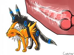 2012 ambiguous_gender bite blush candyfoxy canine_penis cum cum_inside doggy_style feral from_behind fur furry_ears furry_tail internal jolteon knot knotting male nintendo penetration penis pokemon sex tail tongue tongue_out umbreon