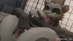 16:9 3d_(artwork) 3d_animation 69_position anal anal_fingering anal_sex anal_wink animated anthro anthro_on_anthro anthro_penetrated anus ass ass_to_mouth ball_fondling balls bodily_fluids breasts cowgirl_position cum cum_from_ass cum_from_vagina cum_in_ass cum_in_mouth cum_in_vagina cum_inside cum_on_face cumshot detailed_background digital_media_(artwork) dominant dominant_female dominant_male dreamworks drinking drinking_cum duo ear_piercing ear_ring ejaculation erection facesitting felching felid fellatio female female_anthro female_penetrated fingering fondling from_front_position fur genital_fluids genitals grey_body grey_fur hi_res high_framerate huge_filesize humanoid_genitalia humanoid_penis kitty_kat_(the_bad_guys) kung_fu_panda leaking_cum long_playtime male male/female male_anthro male_penetrating male_penetrating_female mammal muscular muscular_female nipple_piercing nipples nude on_bottom on_top open_mouth oral oral_penetration orgasm packs_3d pantherine penetration penile penile_penetration penis penis_in_ass penis_in_mouth penis_in_vagina piercing prostate_orgasm ring ring_piercing sex sitting sitting_on_another snow_leopard sound tagme tai_lung_(kung_fu_panda) tail teasing teeth text the_bad_guys throbbing throbbing_balls tip_tease tongue upside-down vaginal_penetration video vulva widescreen