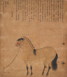 15th_century absurd_res ancient_art balls bound clothing equid equine feral genitals halter hi_res hooves horse japanese_text leash male male_feral mammal mane painting_(artwork) quadruped robe rope side_view simple_background solo standing tail tan_body text topknot traditional_media_(artwork) traditional_painting_(artwork) unguligrade unknown_artist