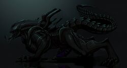 alien alien_(franchise) all_fours chitin claws cum dark drooling erection gay male male_only male_xenomorph masturbation muscles orgasm penis reflection saliva xenomorph