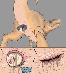absurd_res anal anal_vore animal_genitalia big_butt butt cloaca dinosaur female genitals hi_res human larger_female low-angle_view male mammal poisonsneksoffie prehistoric_species raised_tail rear_view reptile scalie size_difference smaller_male tail thick_thighs unwilling_prey vore