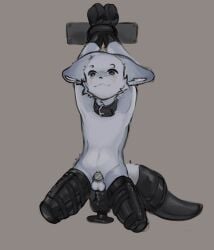 absurd_res anal anal_penetration animal_dildo animal_sex_toy anthro balls bdsm black_collar blue_body blue_eyes blush bondage bound canine_dildo chastity_cage chastity_device collar cuff_(restraint) dildo dildo_in_ass dildo_insertion dildo_sitting femboy flat_chastity_cage genitals handcuffed handcuffs hands_tied hi_res knot knotted_dildo legs_tied looking_pleasured male metal_chastity_cage metal_cuffs object_in_ass penetration restraints sex_toy sex_toy_in_ass sex_toy_insertion smile soapy_ji solo wall_(structure) wearing_chastity_cage wearing_chastity_device wearing_collar
