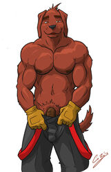 abs anthro biceps canine chestnuts_(artist) firefighter furry looking_at_viewer male male_only muscles no_humans pecs penis solo teasing undressing uniform