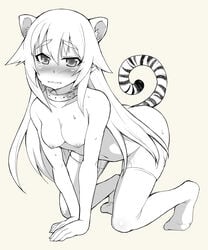 1girls all_fours animal_ears anime_nose blush breasts character_request collar copyright_request female hair in_heat kouki_kuu long_hair naked_stockings naked_thighhighs nude solo stockings sweat tail tear thighhighs tiger_ears tiger_tail