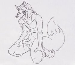 1boy abs anthro balls canine cum dragondrawer erection fox fox_mccloud fur furry male male_only masturbation panting penis precum sitting_down solo star_fox video_games