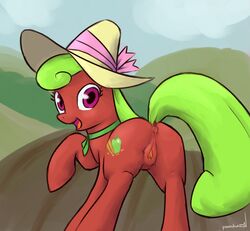 apple_bottom friendship_is_magic my_little_pony ponchuzn tagme