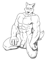 1boy anthro balls canine confused flaccid fur furry kneeling male male_only muscles nipples nude penis poop_(artist) solo wolf