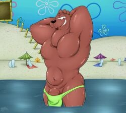 anthro beach beach_towel beach_umbrella benjipaws clothing craig_mammalton ear_piercing ear_ring flower_cloud_(spongebob) genitals glistening glistening_body goo_lagoon green_clothing green_swimwear hi_res male mammal marine nickelodeon parasol partially_submerged partially_visible_genitals penis penis_base piercing pinniped public ring_piercing sand sea seal signpost solo spongebob_squarepants standing swimwear tan_body towel water