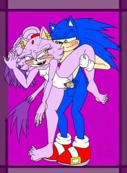 animal_humanoid anthro blaze_the_cat blush breasts claws domestic_cat duo ear_piercing ear_ring eulipotyphlan eulipotyphlan_humanoid fangs felid felid_humanoid feline felis female genitals hedgehog hedgehog_humanoid hi_res humanoid male male/female mammal mammal_humanoid penetration penis piercing pussy ring_piercing rosetta456 sega small_breasts sonic_(series) sonic_the_hedgehog sonic_the_hedgehog_(series) teeth vaginal_penetration vulva